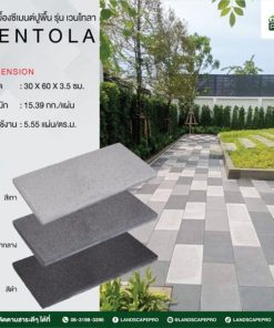 กระเบื้องคอนกรีตปูพื้น เอสซีจี รุ่น เวนโทลา ขนาด 30x60x3.5 ซม.
