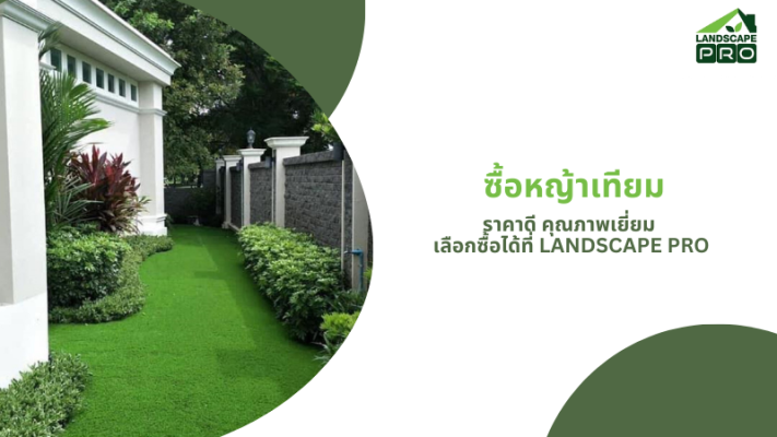 ซื้อหญ้าเทียม